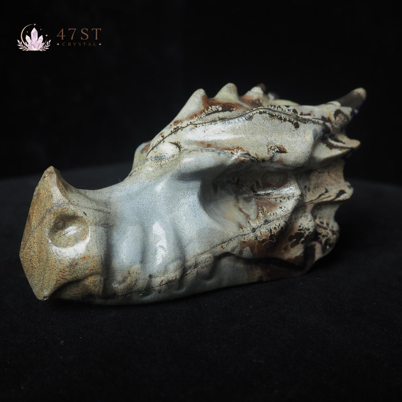 Picture Jasper Dragon Head