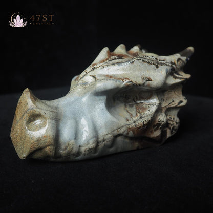 Picture Jasper Dragon Head