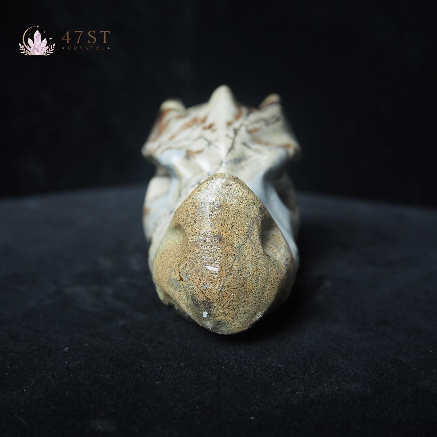 Picture Jasper Dragon Head