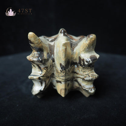 Picture Jasper Dragon Head