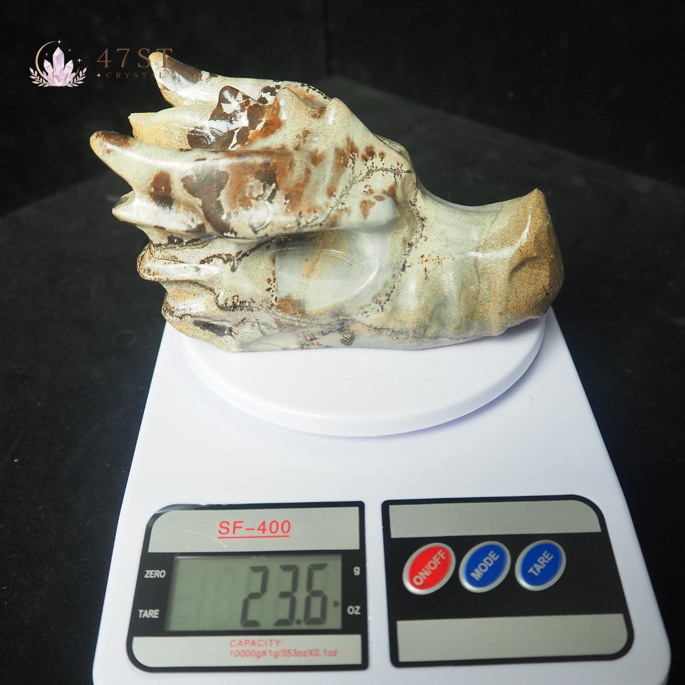 Picture Jasper Dragon Head