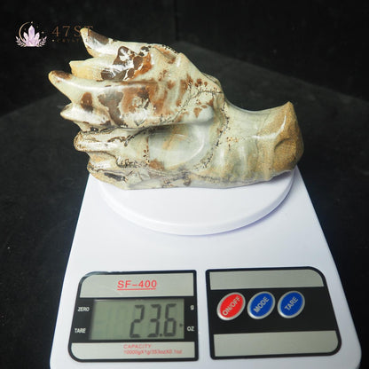 Picture Jasper Dragon Head