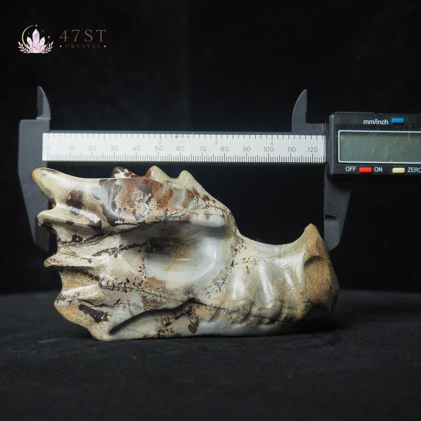 Picture Jasper Dragon Head