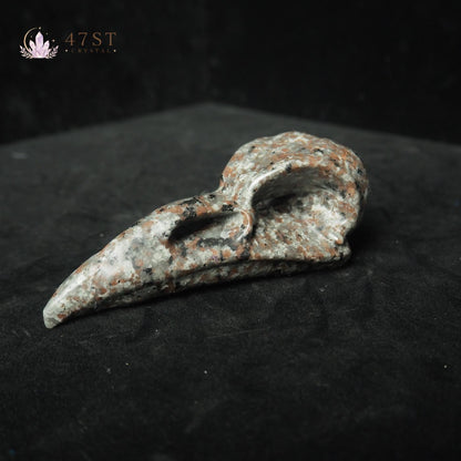 Yooperlite Bird Skull