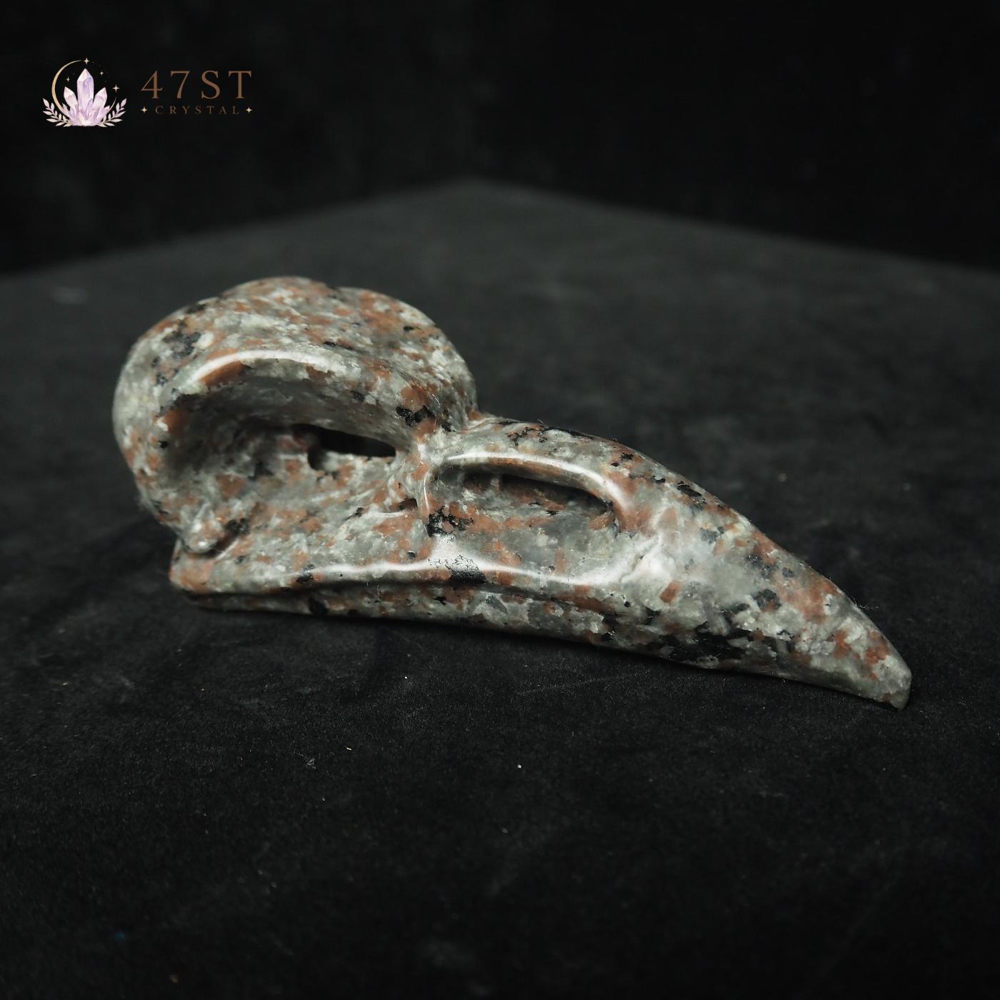 Yooperlite Bird Skull