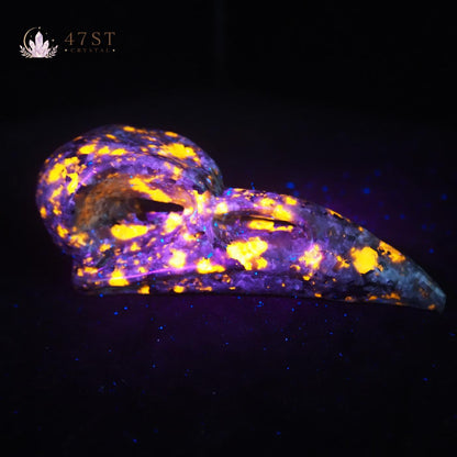 Yooperlite Bird Skull