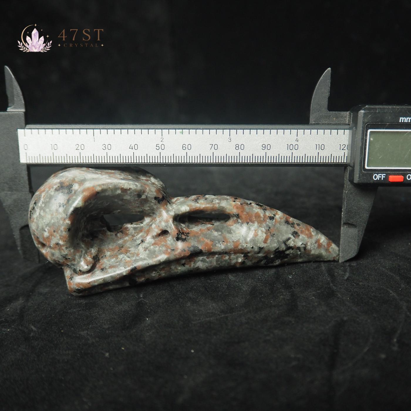 Yooperlite Bird Skull