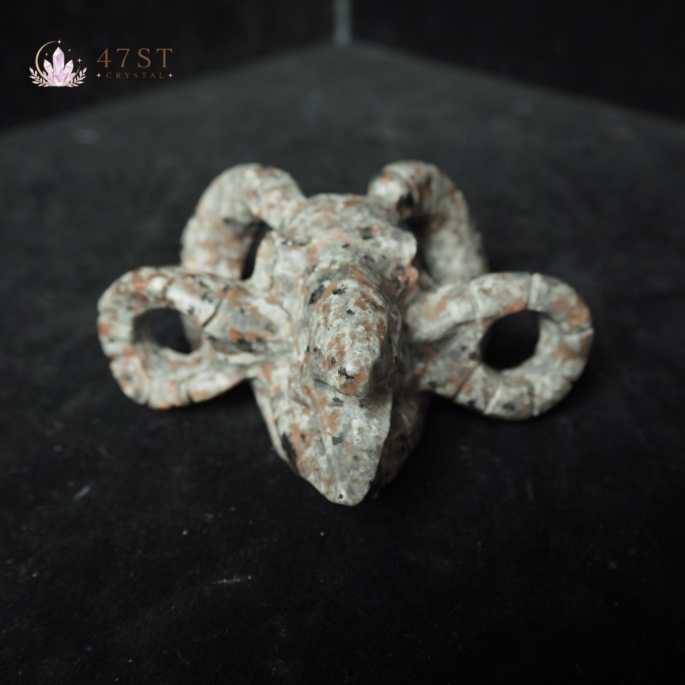 Yooperlite Bird Skull