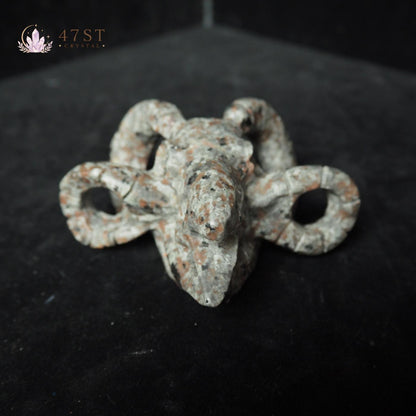 Yooperlite Bird Skull