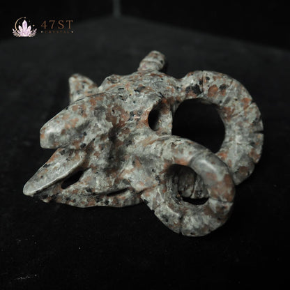 Yooperlite Bird Skull