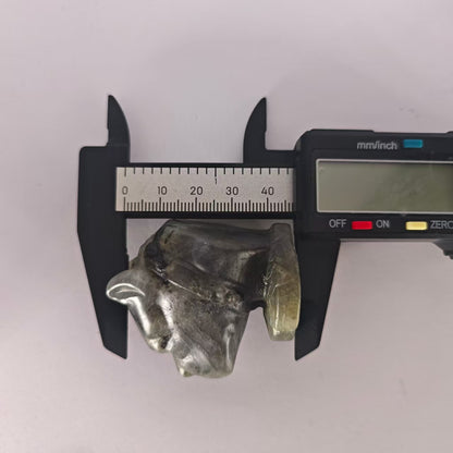Multi-Material Beagle Dog Head Carving