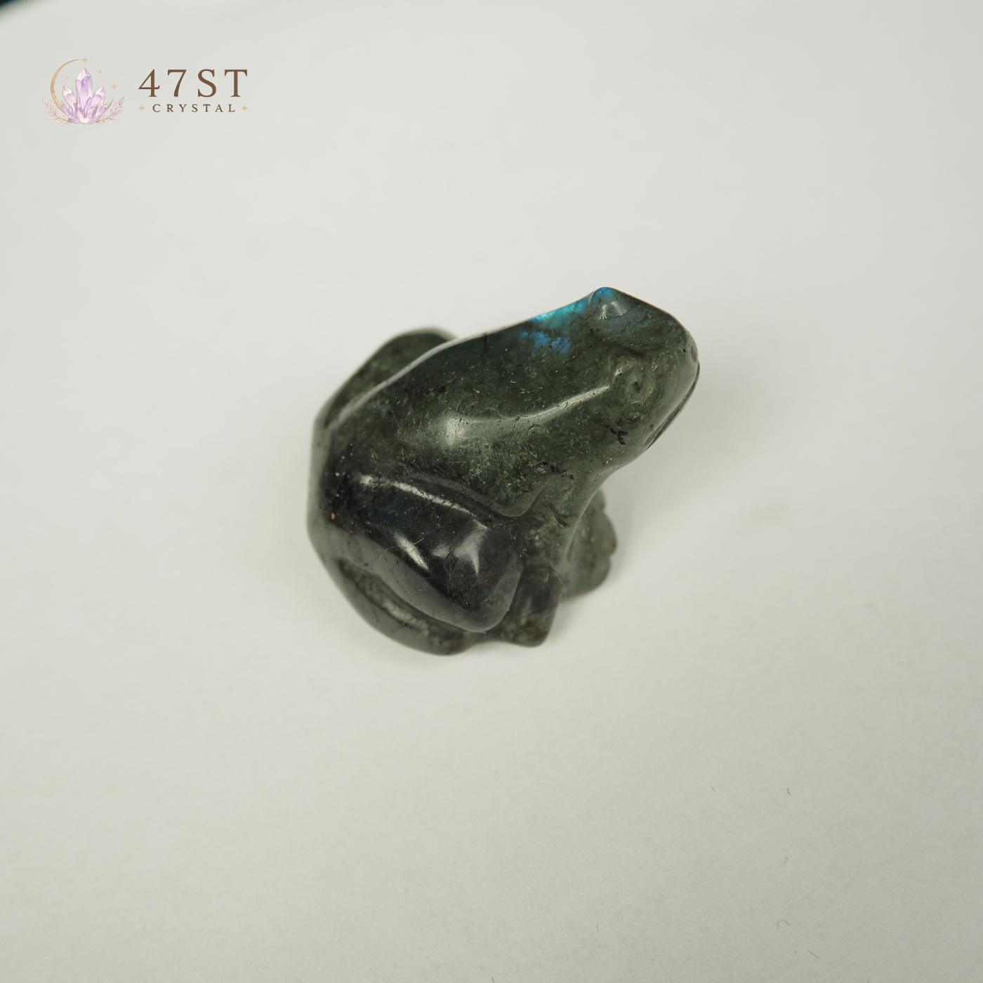 Labradorite Frog
