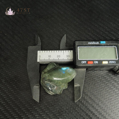 Labradorite Frog