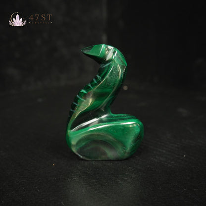 Malachite Snake