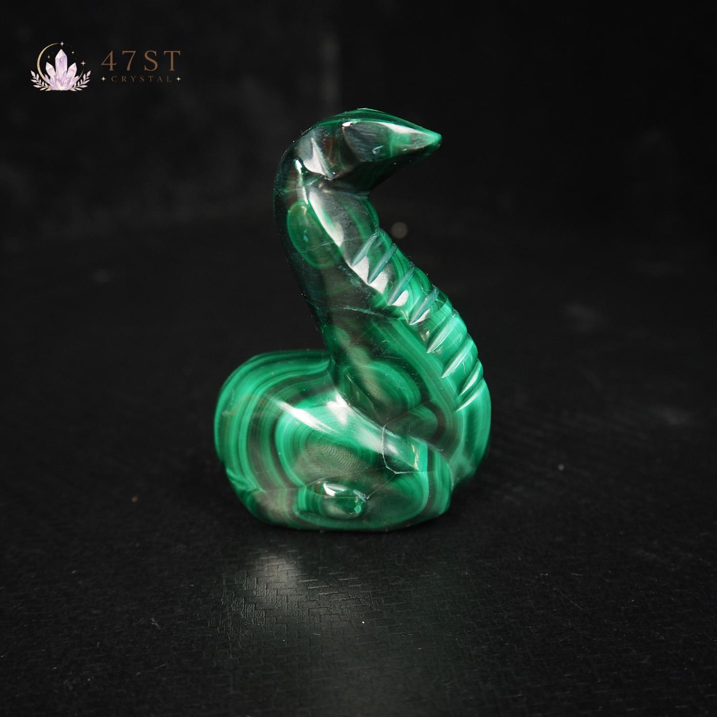 Malachite Snake
