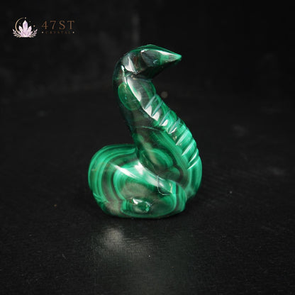 Malachite Snake