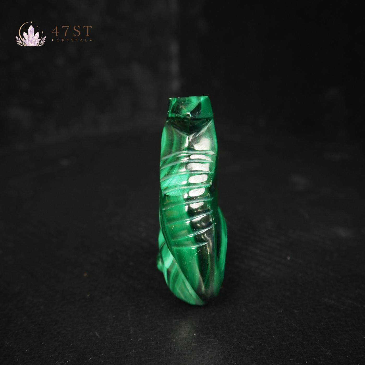 Malachite Snake