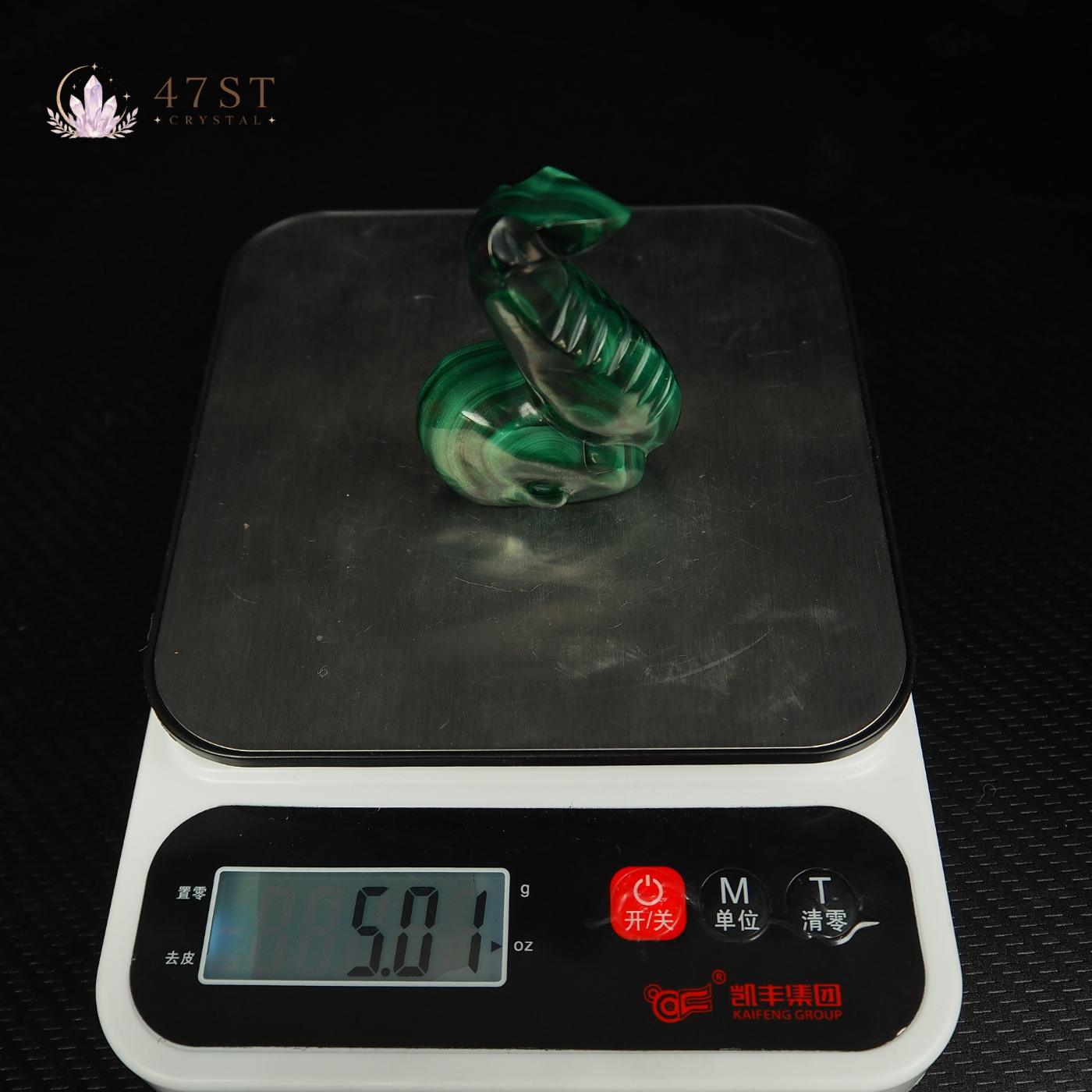 Malachite Snake