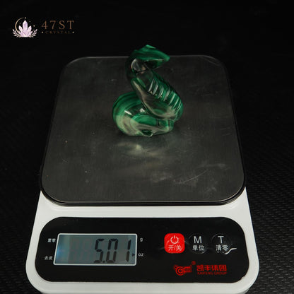 Malachite Snake