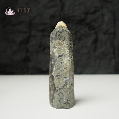 Pyrite in Fluorite Point