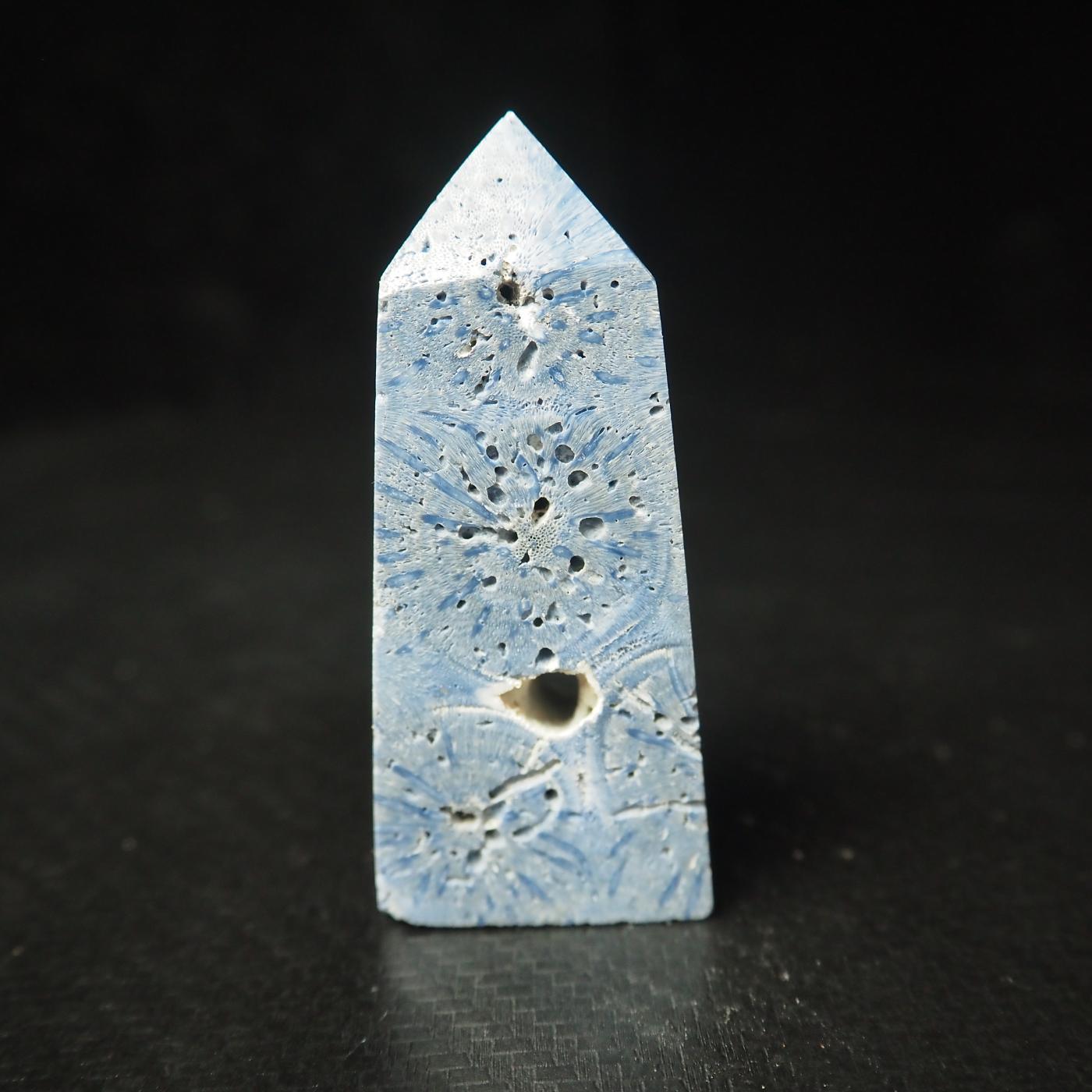 Blue Coral Jasper Point