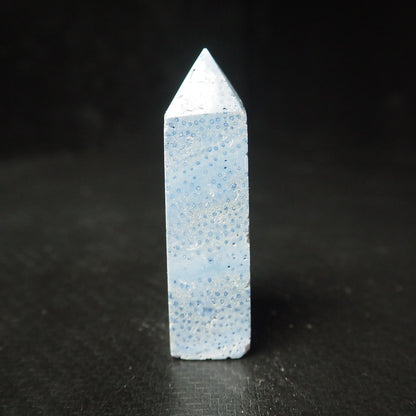 Blue Coral Jasper Point