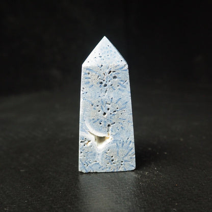 Blue Coral Jasper Point