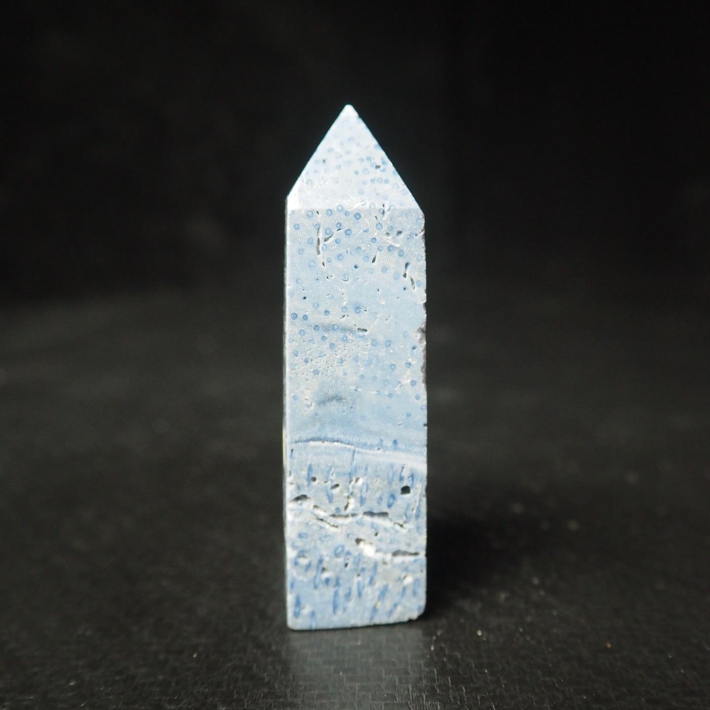 Blue Coral Jasper Point