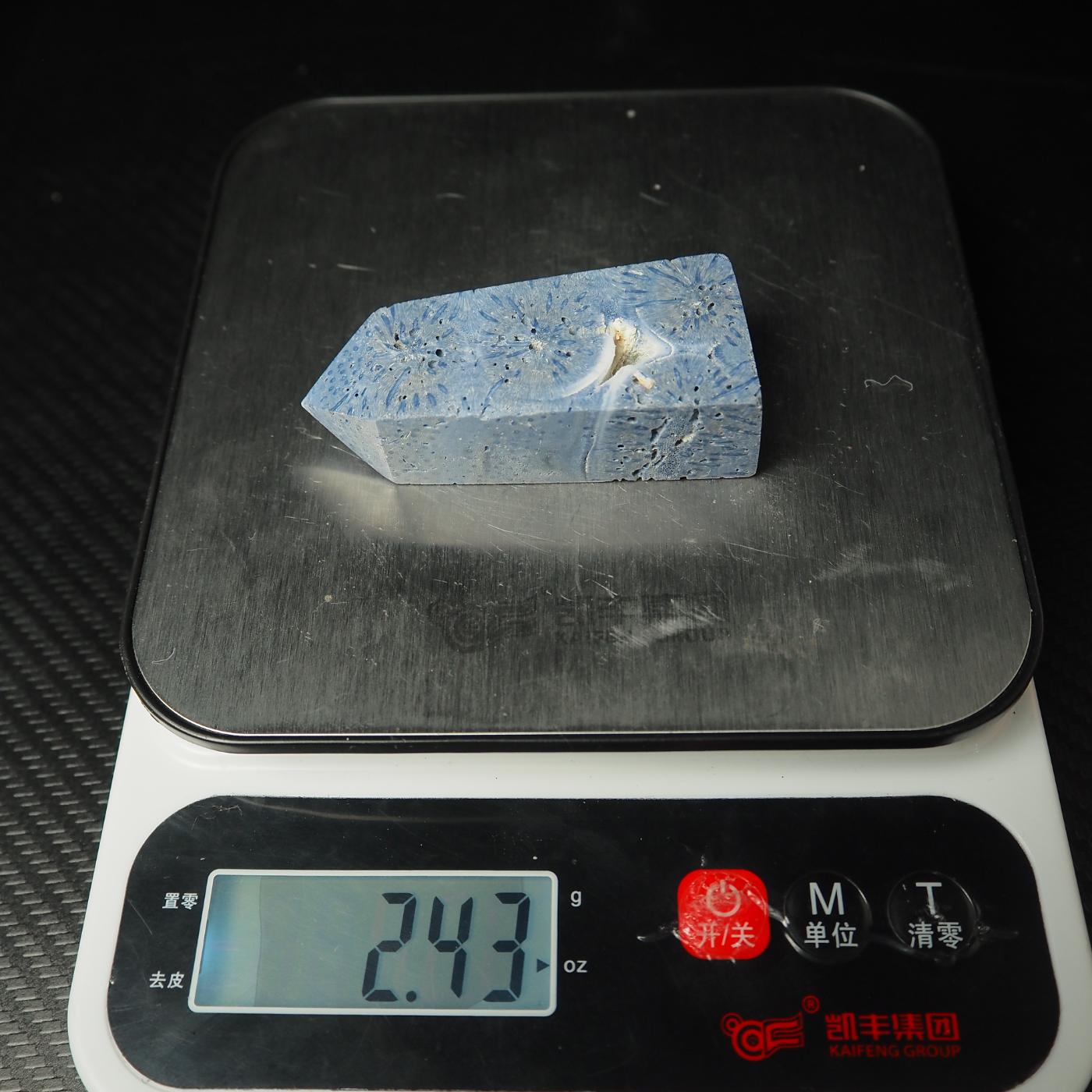 Blue Coral Jasper Point