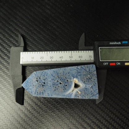 Blue Coral Jasper Point