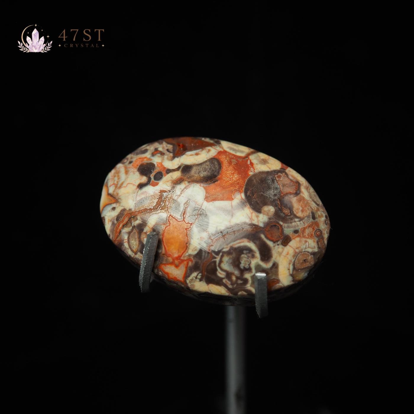 Money Agate Palm Stone