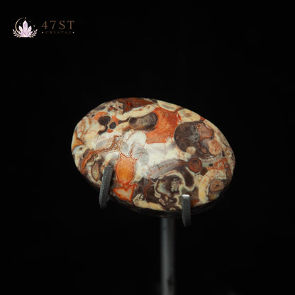 Money Agate Palm Stone