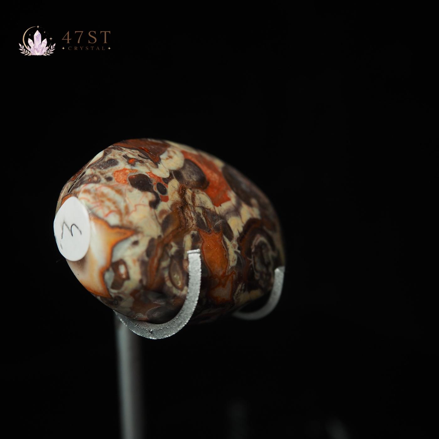 Money Agate Palm Stone