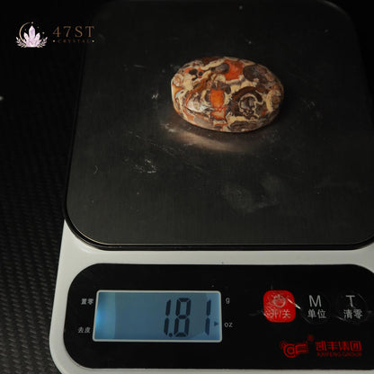 Money Agate Palm Stone