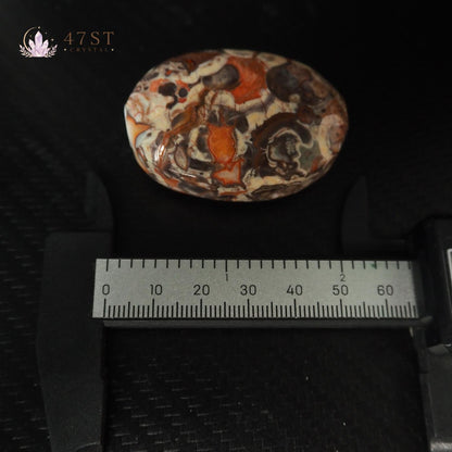 Money Agate Palm Stone