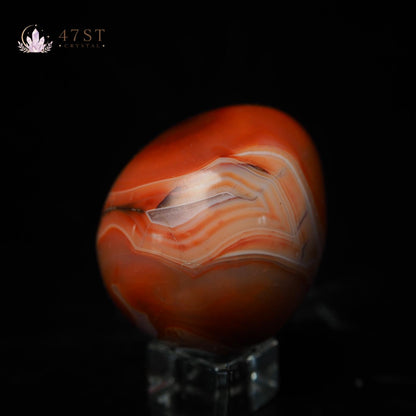 Sardonyx Egg