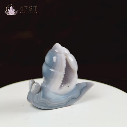 Druzy Agate Snail Carving