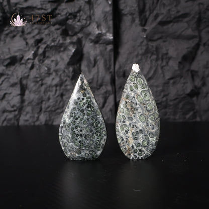 Kambaba Jasper Freeform